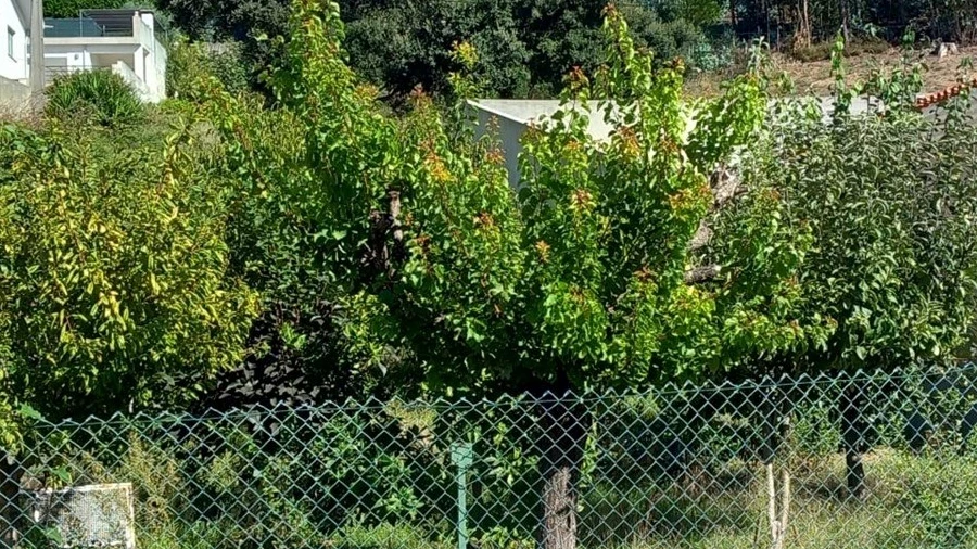 Terreno para Venda em Fânzeres e São Pedro da Cova