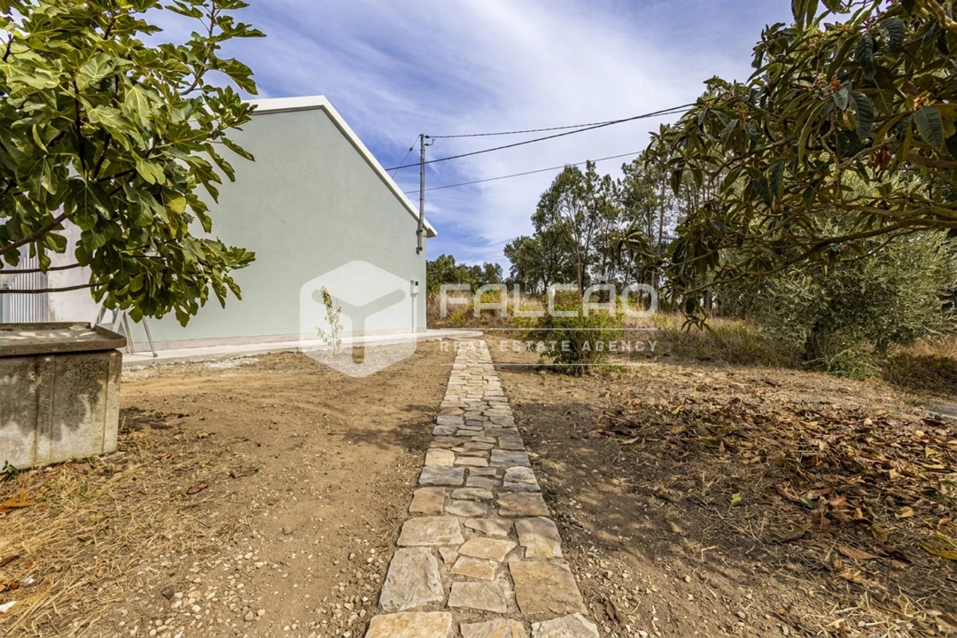 Moradia T2 para Venda em São João da Ribeira e Ribeira de São João Foto 19
