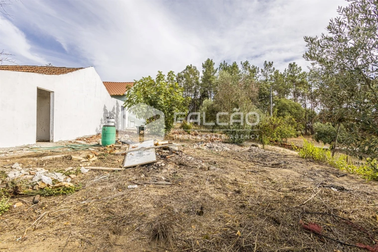 Moradia T2 para Venda em São João da Ribeira e Ribeira de São João Foto 12