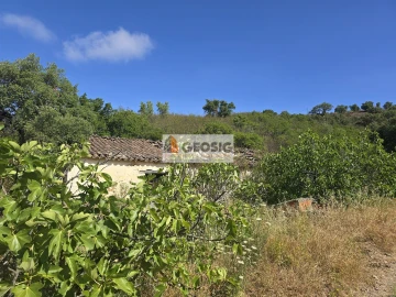 Quinta T4 para Venda em São Barnabe