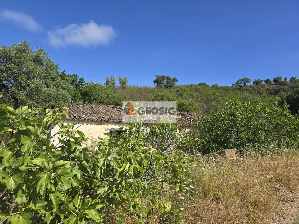 Quinta T4 para Venda em São Barnabe Foto 29
