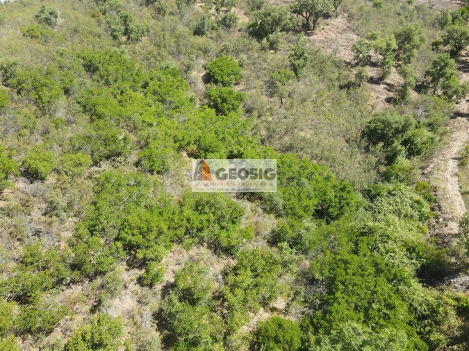 Quinta T4 para Venda em São Barnabe Foto 44