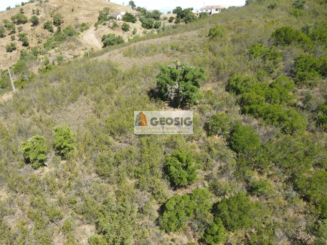 Quinta T4 para Venda em São Barnabe Foto 43
