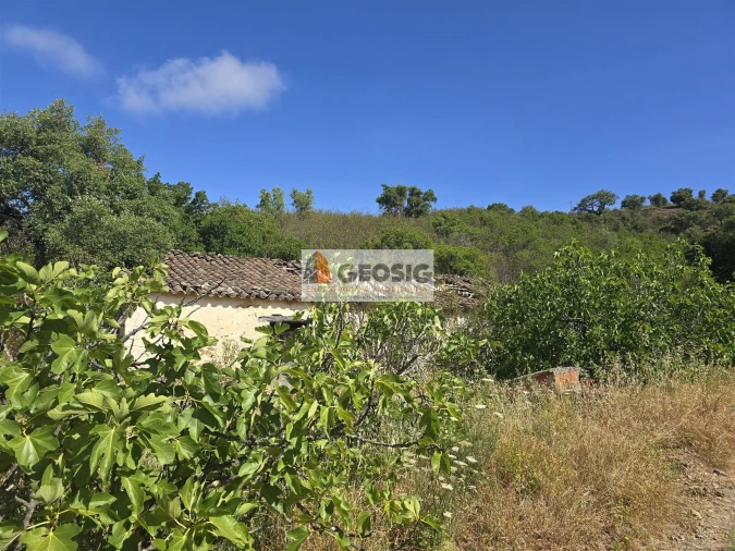 Quinta T4 para Venda em São Barnabe Foto 29