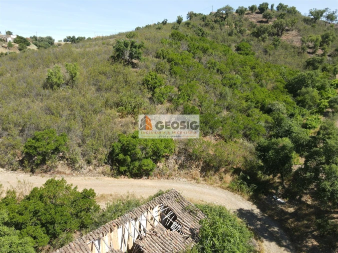 Quinta T4 para Venda em São Barnabe Foto 42