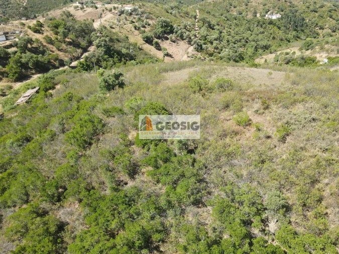 Quinta T4 para Venda em São Barnabe Foto 33