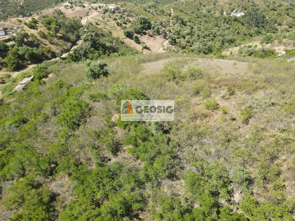 Quinta T4 para Venda em São Barnabe Foto 33
