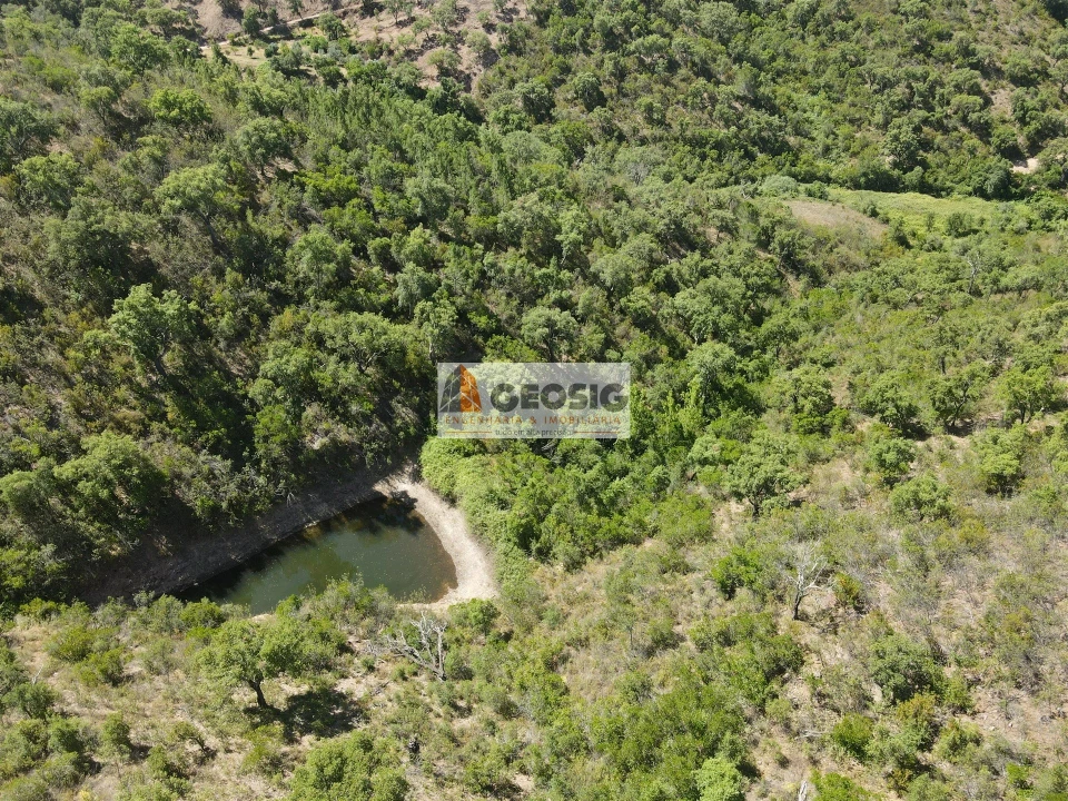 Terreno para Venda em São Barnabe Foto 2
