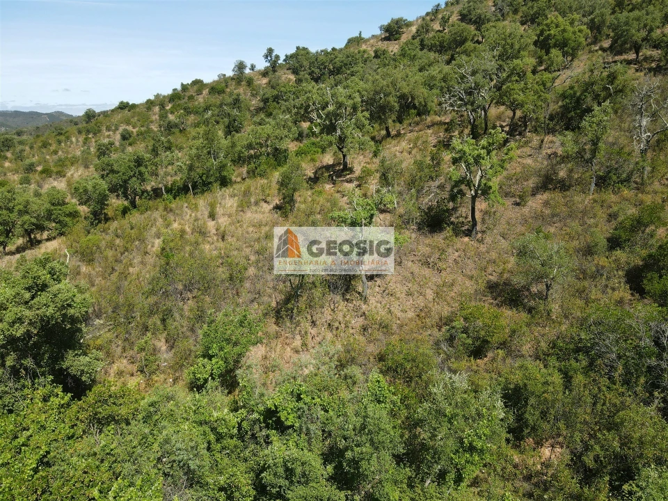 Terreno para Venda em São Barnabe Foto 20