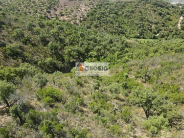 Terreno para Venda em São Barnabe