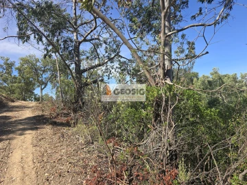 Terreno para Venda em São Barnabe