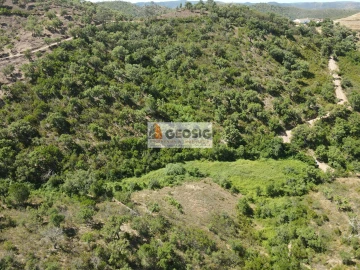 Terreno para Venda em São Barnabe