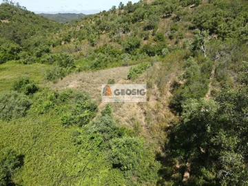 Terreno para Venda em São Barnabe