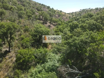 Terreno para Venda em São Barnabe