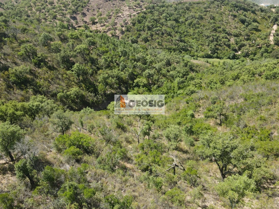 Terreno para Venda em São Barnabe Foto 7