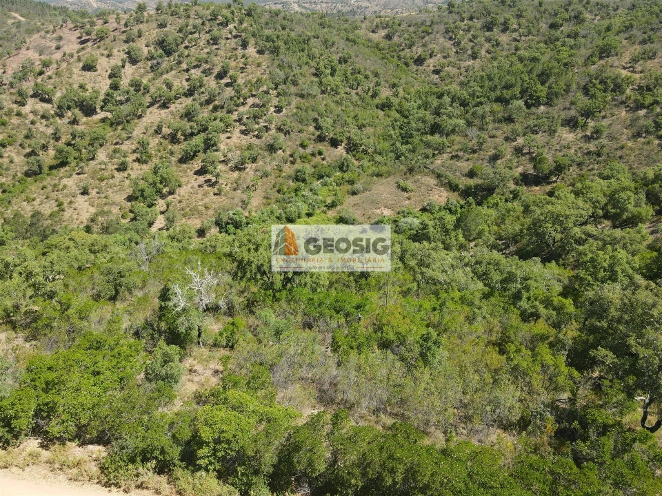 Terreno para Venda em São Barnabe Foto 28