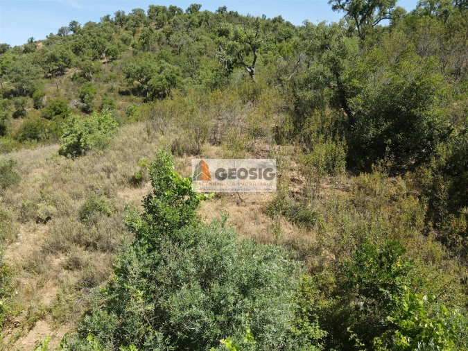 Terreno para Venda em São Barnabe Foto 13