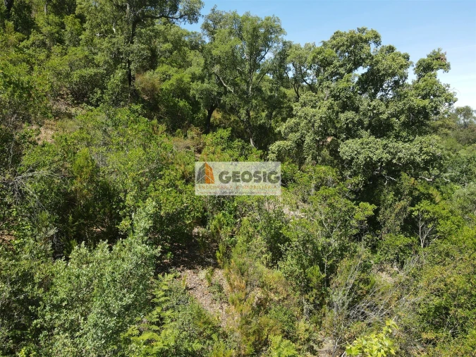Terreno para Venda em São Barnabe Foto 14