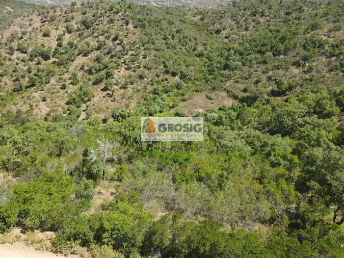 Terreno para Venda em São Barnabe Foto 28