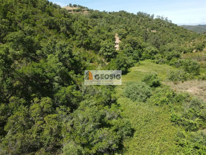 Terreno para Venda em São Barnabe Foto 5