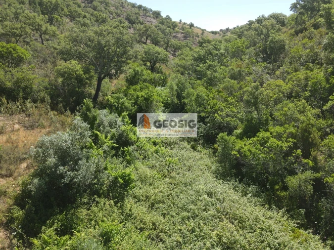 Terreno para Venda em São Barnabe Foto 21