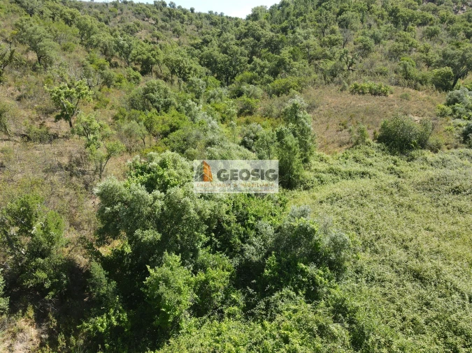 Terreno para Venda em São Barnabe Foto 16