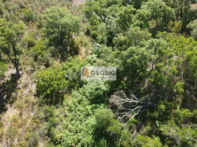 Terreno para Venda em São Barnabe Foto 10