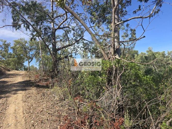 Terreno para Venda em São Barnabe Foto 30