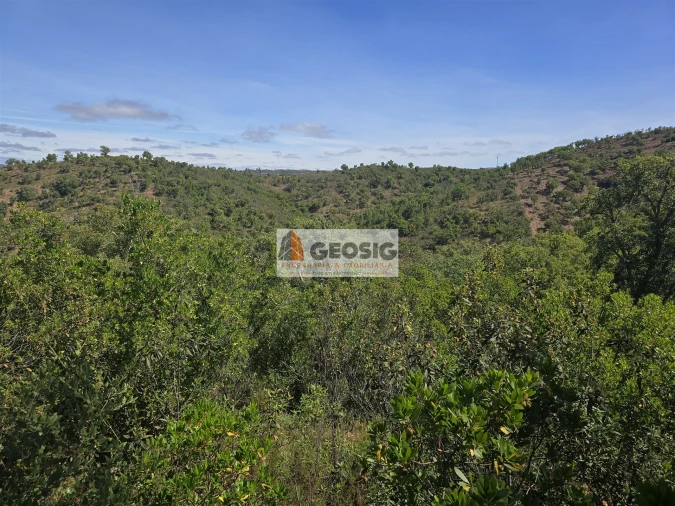 Terreno para Venda em São Barnabe Foto 32