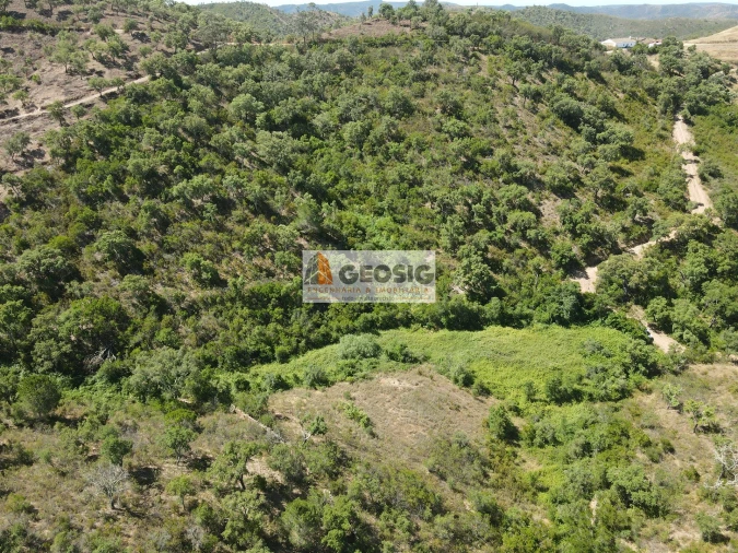 Terreno para Venda em São Barnabe Foto 9