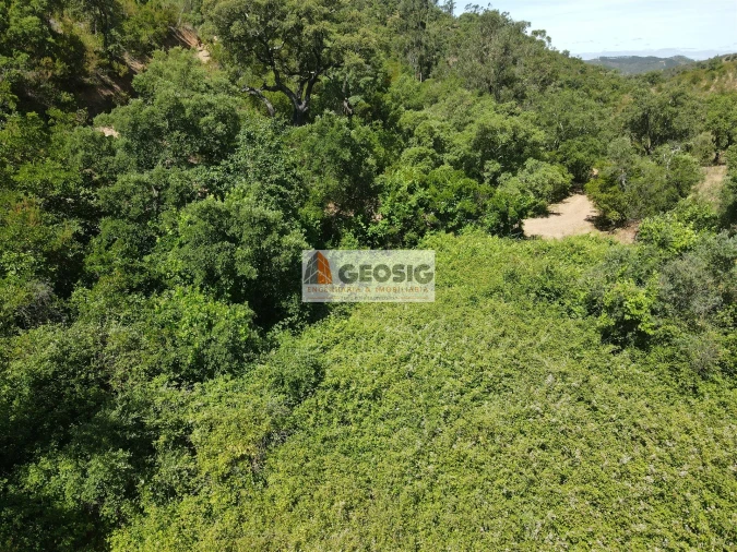 Terreno para Venda em São Barnabe Foto 15
