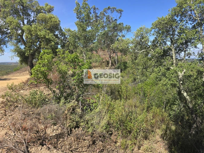 Terreno para Venda em São Barnabe Foto 31