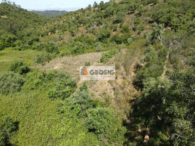 Terreno para Venda em São Barnabe Foto 25