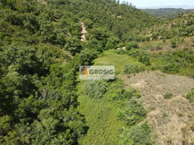 Terreno para Venda em São Barnabe Foto 11