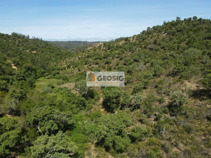 Terreno para Venda em São Barnabe Foto 3