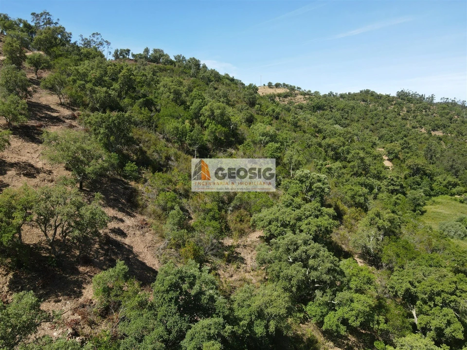 Terreno para Venda em São Barnabe Foto 26