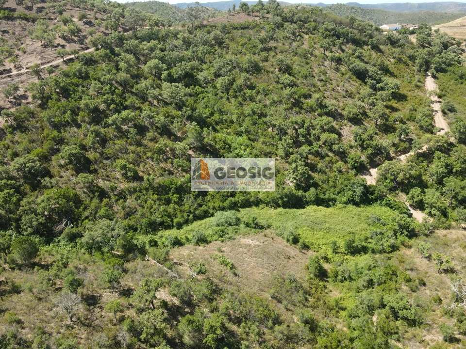 Terreno para Venda em São Barnabe Foto 9