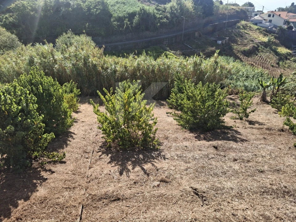 Terreno para Venda em Canhas Foto 4