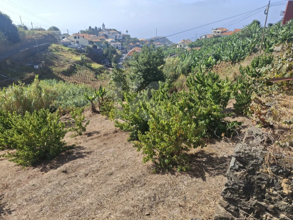 Terreno para Venda em Canhas Foto 5