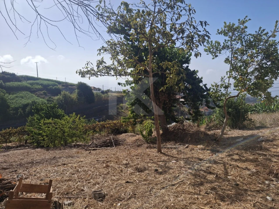 Terreno para Venda em Canhas Foto 13