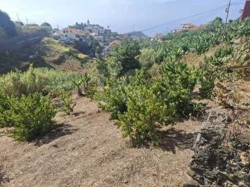 Terreno para Venda em Canhas