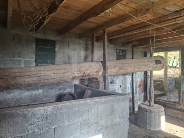 Terreno para Venda em Canhas