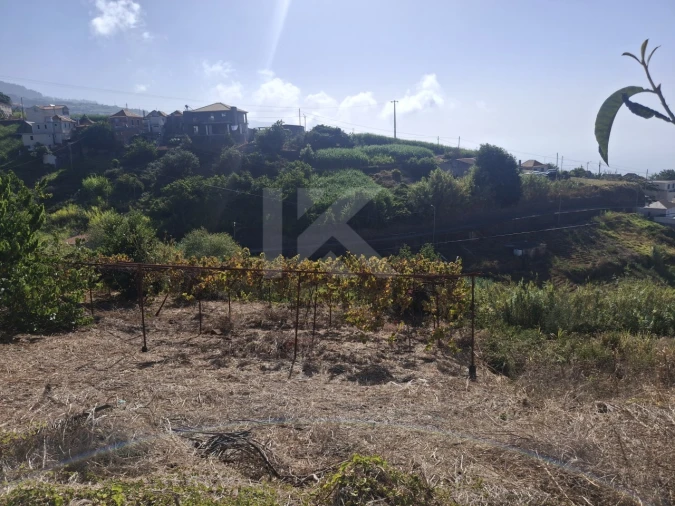 Terreno para Venda em Canhas Foto 6
