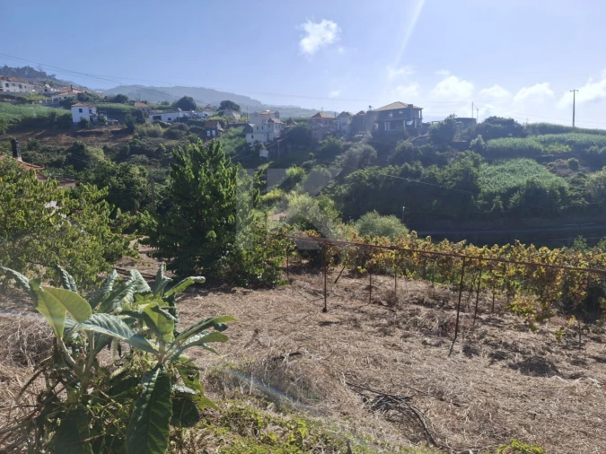 Terreno para Venda em Canhas Foto 8