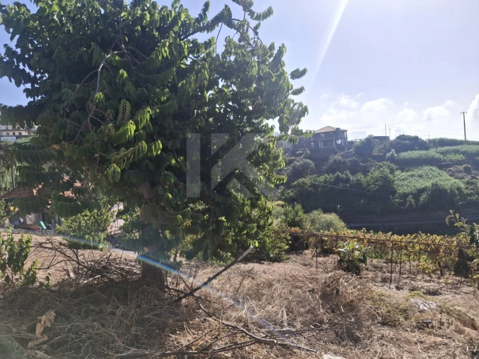 Terreno para Venda em Canhas Foto 12