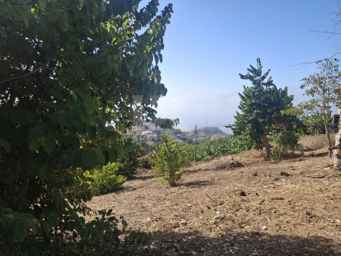 Terreno para Venda em Canhas Foto 17