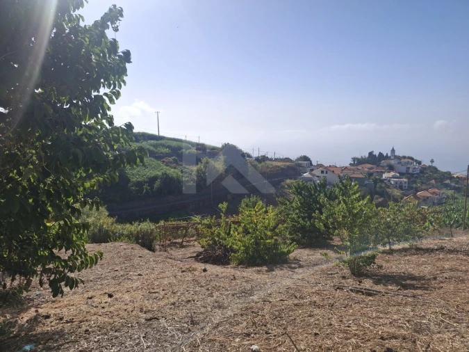 Terreno para Venda em Canhas Foto 18