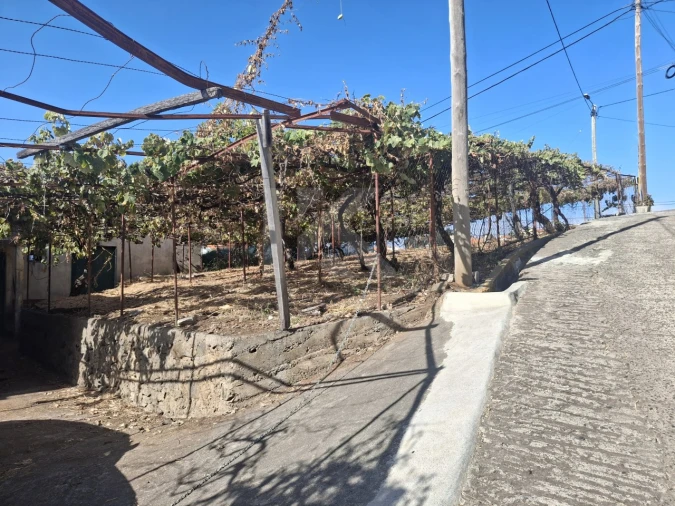 Terreno para Venda em Canhas Foto 44