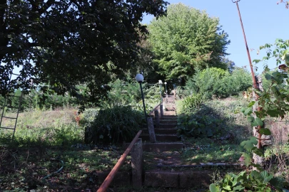 Quinta T5 para Venda em Silvares, Pias, Nogueira e Alvarenga