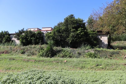 Quinta T5 para Venda em Silvares, Pias, Nogueira e Alvarenga